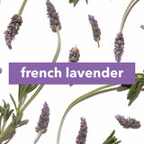 French Lavender Fragrance Dose